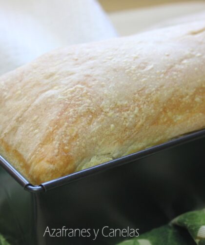 gluten