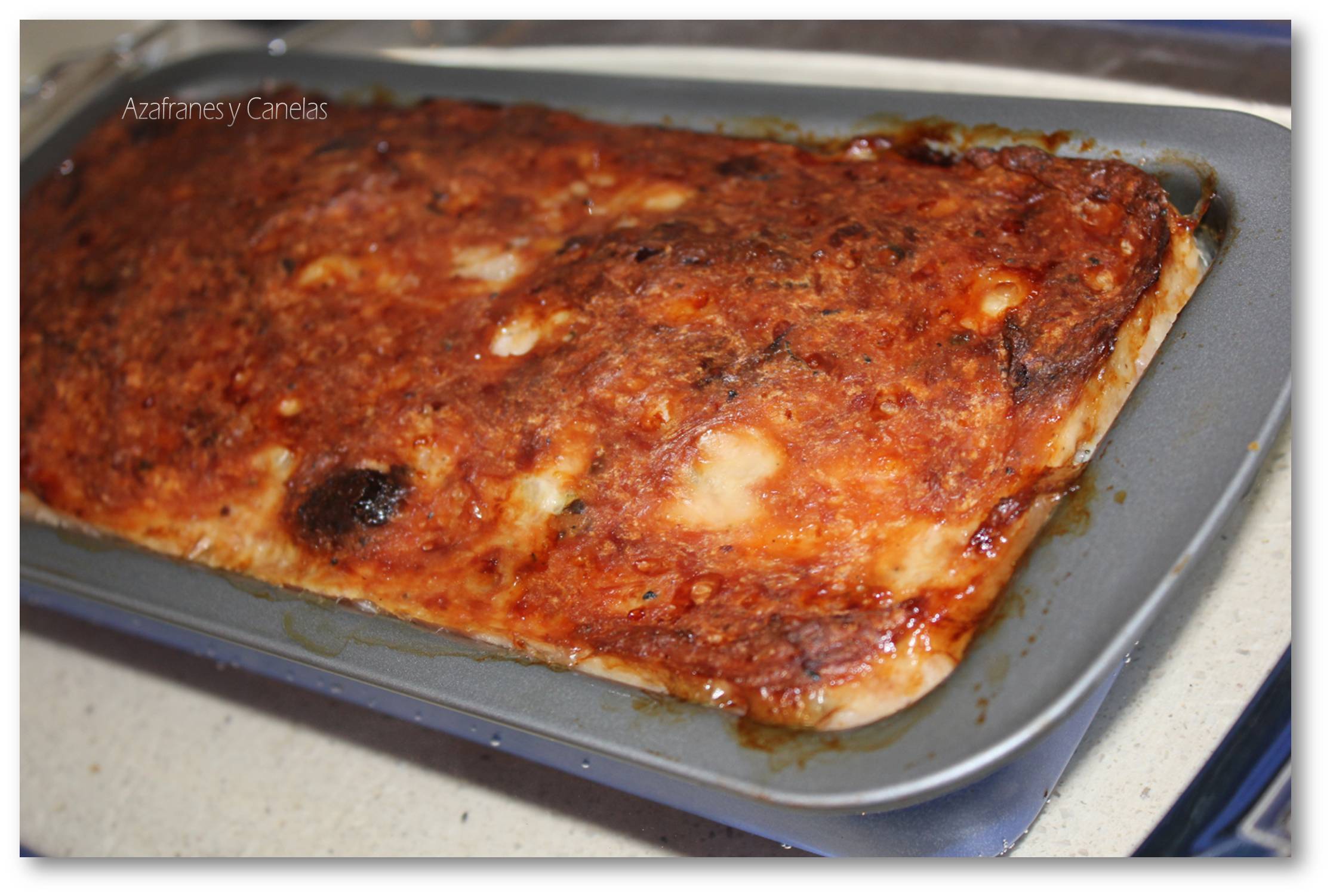 terrina de pavo