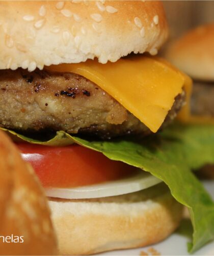 hamburguesa gourmet