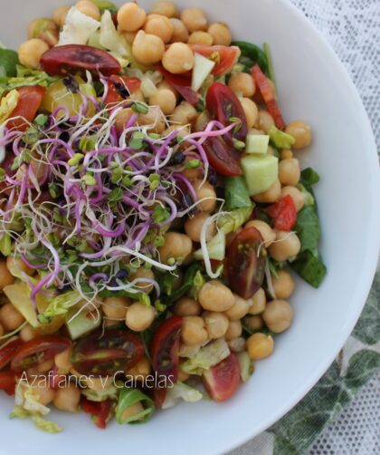 ensalada de garbanzos