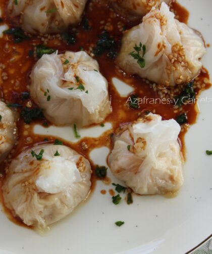 dumplings de gambas