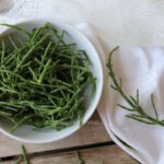salicornia