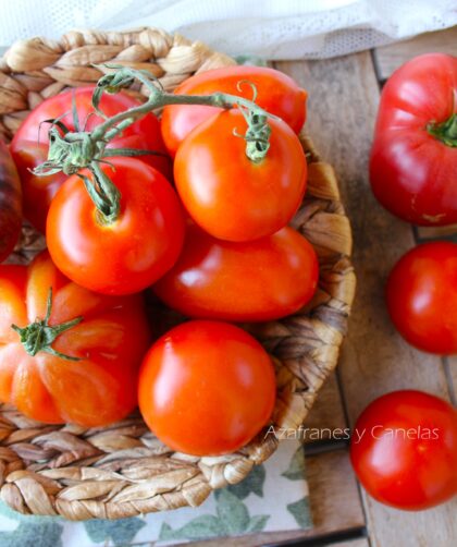 tomates