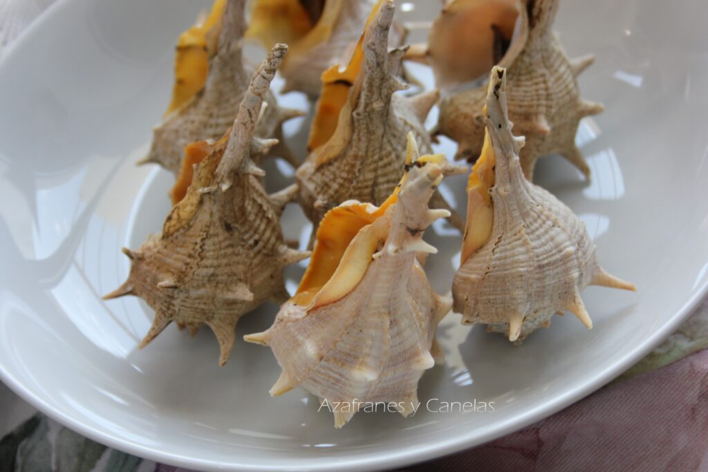 cañaillas cocidas