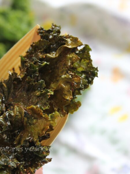 chips de kale